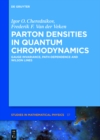 Parton Densities in Quantum Chromodynamics : Gauge invariance, path-dependence and Wilson lines - eBook