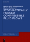 Stochastically Forced Compressible Fluid Flows - eBook