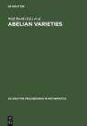 Abelian Varieties : Proceedings of the International Conference held in Egloffstein, Germany, October 3-8, 1993 - eBook