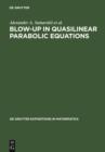 Blow-Up in Quasilinear Parabolic Equations - eBook