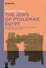 The Jews of Ptolemaic Egypt : The History of a Diaspora Community in Light of the Papyri - eBook