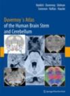 Duvernoy's Atlas of the Human Brain Stem and Cerebellum : High-Field MRI, Surface Anatomy, Internal Structure, Vascularization and 3 D Sectional Anatomy - eBook