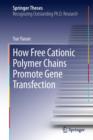 How Free Cationic Polymer Chains Promote Gene Transfection - eBook