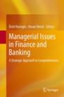 Managerial Issues in Finance and Banking : A Strategic Approach to Competitiveness - eBook