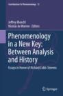 Phenomenology in a New Key: Between Analysis and History : Essays in Honor of Richard Cobb-Stevens - eBook