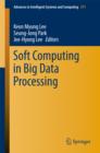 Soft Computing in Big Data Processing - eBook