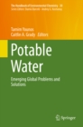 Potable Water : Emerging Global Problems and Solutions - eBook
