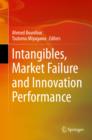 Intangibles, Market Failure and Innovation Performance - eBook