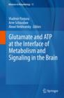 Glutamate and ATP at the Interface of Metabolism and Signaling in the Brain - eBook