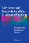 Rare Tumors and Tumor-like Conditions in Urological Pathology - eBook