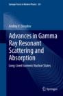 Advances in Gamma Ray Resonant Scattering and Absorption : Long-Lived Isomeric Nuclear States - eBook