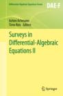 Surveys in Differential-Algebraic Equations II - eBook