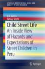 Child Street Life : An Inside View of Hazards and Expectations of Street Children in Peru - eBook