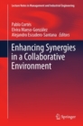 Enhancing Synergies in a Collaborative Environment - eBook