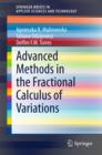 Advanced Methods in the Fractional Calculus of Variations - eBook