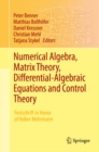 Numerical Algebra, Matrix Theory, Differential-Algebraic Equations and Control Theory : Festschrift in Honor of Volker Mehrmann - eBook