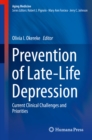 Prevention of Late-Life Depression : Current Clinical Challenges and Priorities - eBook