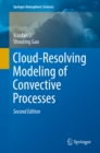 Cloud-Resolving Modeling of Convective Processes - eBook