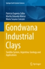 Gondwana Industrial Clays : Tandilia System, Argentina-Geology and Applications - eBook