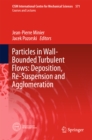 Particles in Wall-Bounded Turbulent Flows: Deposition, Re-Suspension and Agglomeration - eBook