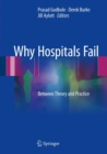 Why Hospitals Fail : Between Theory and Practice - eBook