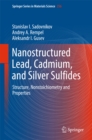Nanostructured Lead, Cadmium, and Silver Sulfides : Structure, Nonstoichiometry and Properties - eBook