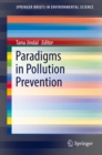 Paradigms in Pollution Prevention - eBook