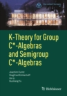 K-Theory for Group C*-Algebras and Semigroup C*-Algebras - eBook