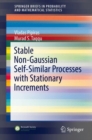 Stable Non-Gaussian Self-Similar Processes with Stationary Increments - eBook