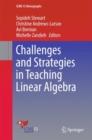 Challenges and Strategies in Teaching Linear Algebra - eBook