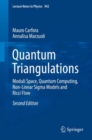 Quantum Triangulations : Moduli Space, Quantum Computing, Non-Linear Sigma Models and Ricci Flow - eBook