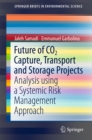 Future of CO2 Capture, Transport and Storage Projects : Analysis using a Systemic Risk Management Approach - eBook