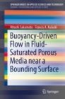 Buoyancy-Driven Flow in Fluid-Saturated Porous Media near a Bounding Surface - eBook
