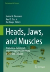 Heads, Jaws, and Muscles : Anatomical, Functional, and Developmental Diversity in Chordate Evolution - eBook