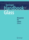 Springer Handbook of Glass - eBook