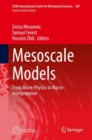 Mesoscale Models : From Micro-Physics to Macro-Interpretation - eBook