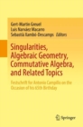 Singularities, Algebraic Geometry, Commutative Algebra, and Related Topics : Festschrift for Antonio Campillo on the Occasion of his 65th Birthday - eBook
