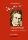 Beethoven - Melomorphosen: Fruchte der Musikmeditation. Sichtbar gemachte Informationsmatrix ausgewahlter Musikstucke. Gestaltwerkzeuge fur Musikhorer. Ohne Verwendung von Noten/Partituren. : Ein Arbe - eBook