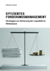 Effizientes  Forderungsmanagement : Strategien zur Sicherung der Liquiditat im  Mittelstand - eBook