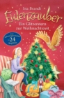 Eulenzauber. Ein Glitzerstern zur Weihnachtszeit : Eine Adventskalendergeschichte in 24 Kapiteln - eBook