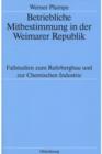 Betriebliche Mitbestimmung in der Weimarer Republik : Fallstudien zum Ruhrbergbau und zur Chemischen Industrie - eBook