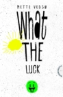 What the luck! : Humorvoller Roman uber Klassenunterschiede und sozialen Aufstieg - eBook