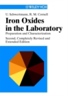 Iron Oxides in the Laboratory : Preparation and Characterization - Book
