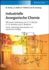 Industrielle Anorganische Chemie - eBook