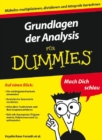 Grundlagen der Analysis f r Dummies - eBook