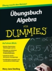 Ubungsbuch Algebra fur Dummies - eBook