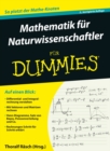 Mathematik f r Naturwissenschaftler f r Dummies - eBook