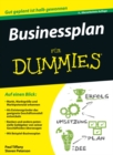 Businessplan f r Dummies - eBook