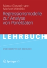 Regressionsmodelle zur Analyse von Paneldaten - eBook