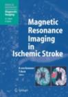 Magnetic Resonance Imaging in Ischemic Stroke - eBook